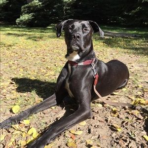 Meet your Posher, Jeff